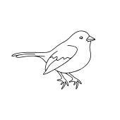 Bild Spatz symbolisiert die flexible Website mit Templates